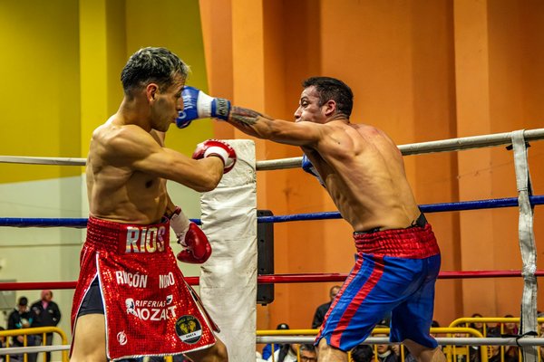 Deerhunter : l'équipement essentiel pour les chasseurs modernes