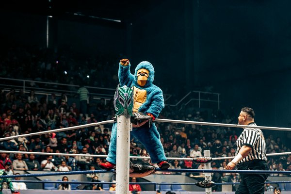 Récupération musculaire chez l'athlète âgé: spécificités et recommandations