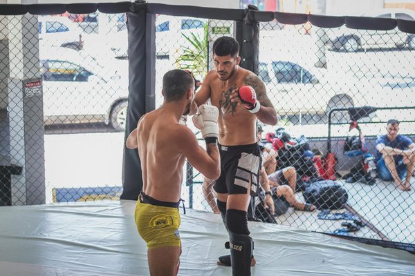 Les différents types de maillots de basket